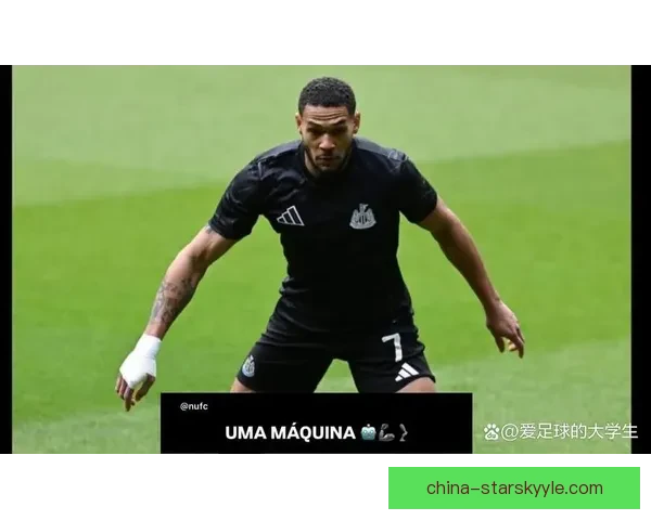 埃迪豪表现不差乔林顿热刺缺席 埃迪豪表现不差乔林顿热刺缺席