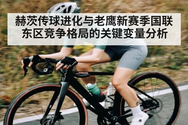 赫茨传球进化与老鹰新赛季国联东区竞争格局的关键变量分析