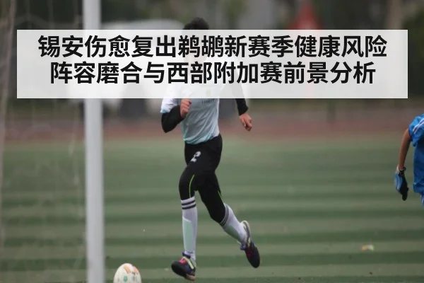 锡安伤愈复出鹈鹕新赛季健康风险阵容磨合与西部附加赛前景分析